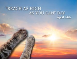 Custom Xpress - April 2025.pdf