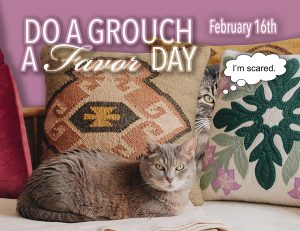 Custom Xpress - February 2025