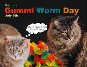 Custom Xpress - July 2025.pdf