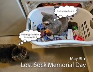 Custom Xpress - May 2025 copy.pdf