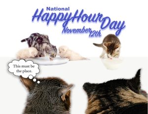 Custom Xpress - Nov 2025.pdf